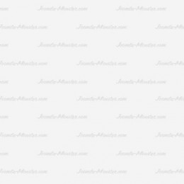 Lorem ipsum dolor sit amet, consectetur adipiscing elit. In eu porta elit, ac rutrum lectus.  Sed pulvinar tincidunt elit, sit amet euismod sem efficitur vitae.